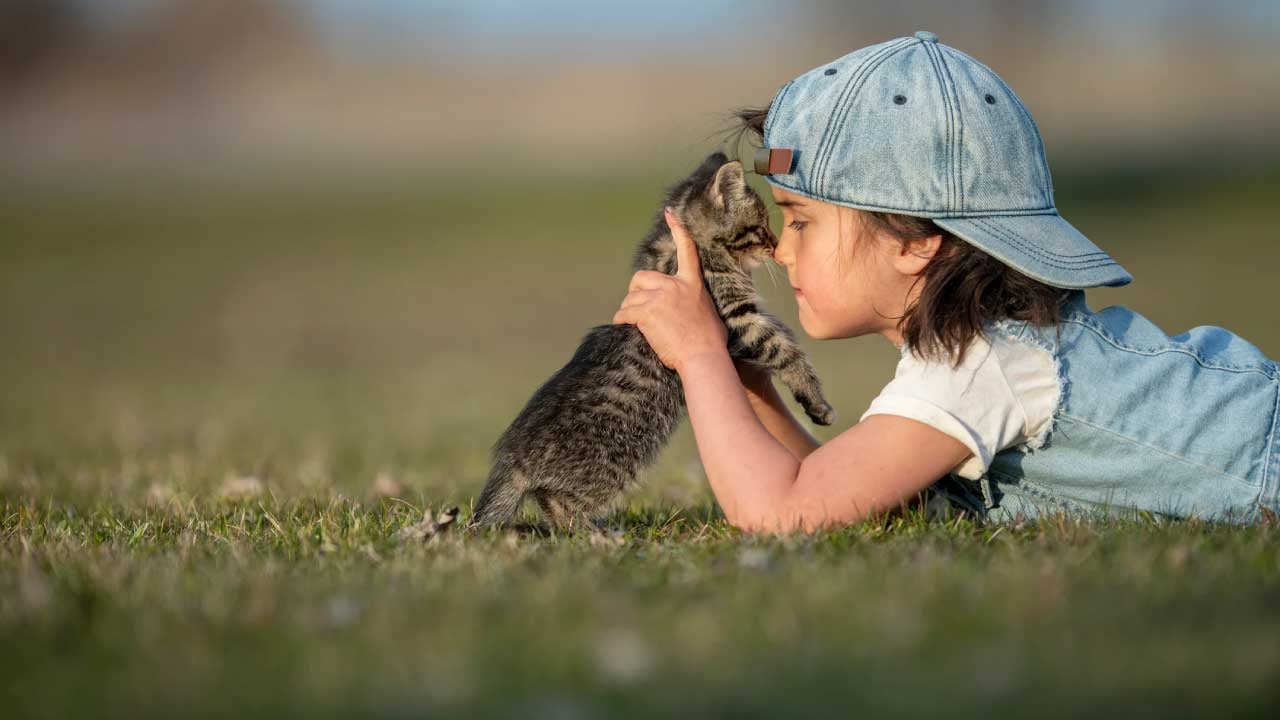 Child snuggling a kitten on the grass