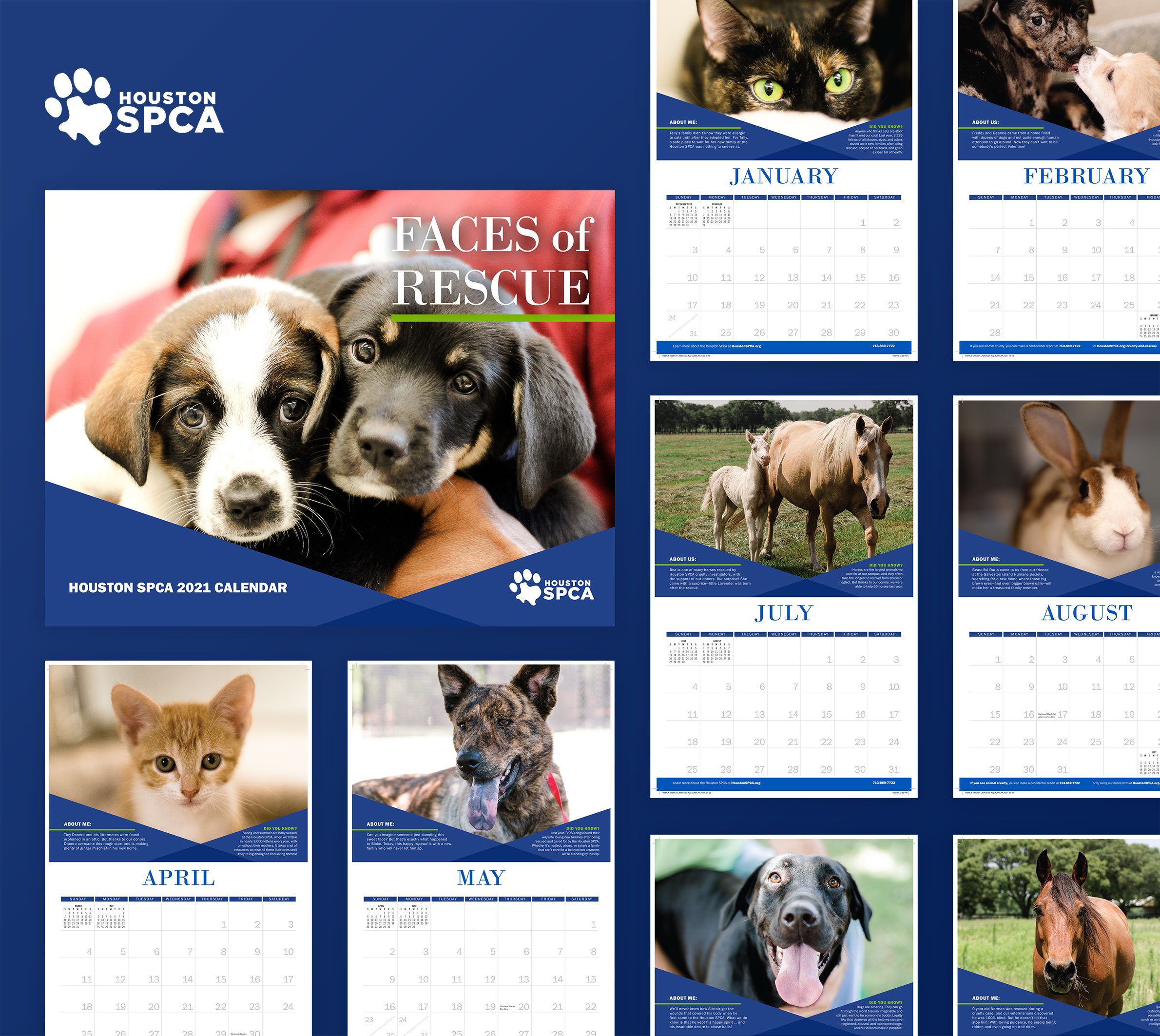An example of a direct mail fundraising campaign for Houston SPCA by Allegiance Group.